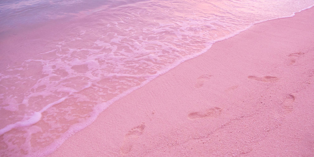 pink beaches in the bahamas