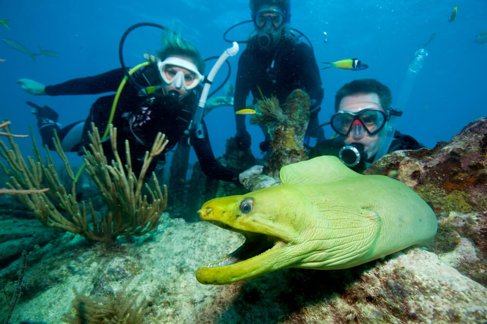 diving Florida Keys National Marine Sanctuary